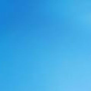 Meet your Posher, Cassidy